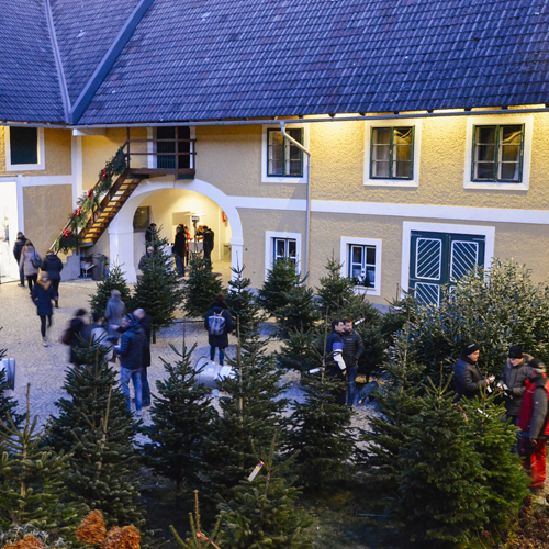 Firmenevent am Höllerhof im Advent