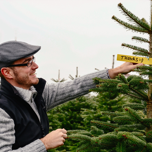 Christbaum aussuchen in der Kultur